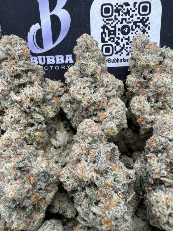 ALIEN COOKIES x KUSH MINTZ