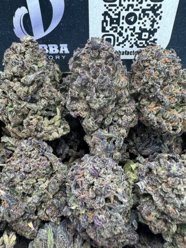 GELATO 33 x SKYWALKER OG