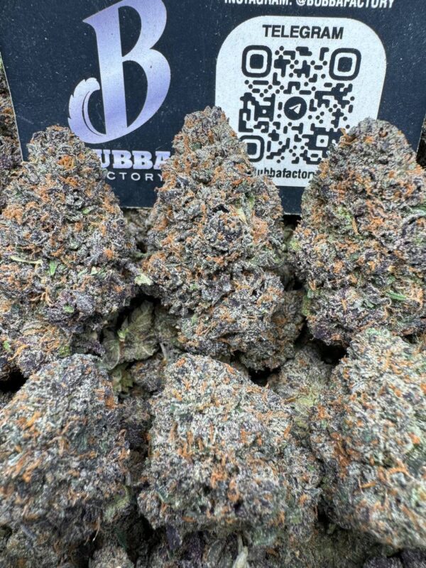 Obama Runtz strains