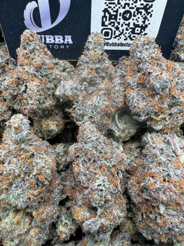 oreo dulce strain