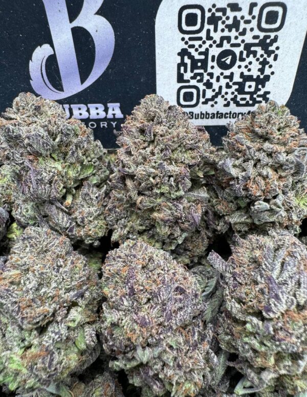 PURPLE GARANIMALS