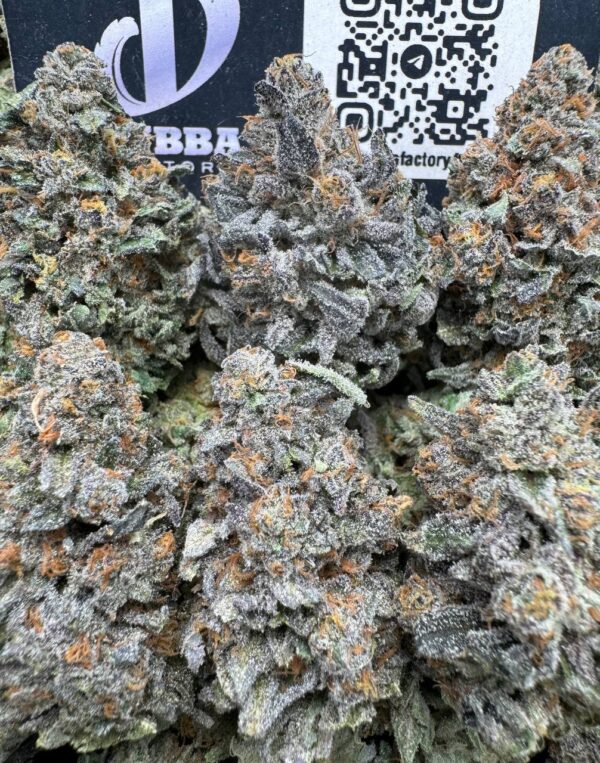 watermelon zkittlez strain